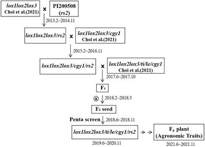 Breeding of Penta Null Soybean [Glycine max (L.) Merr.] for Five Antinutritional and Allergenic Components of Lipoxygenase, KTI, Lectin, 7S α′ Subunit, and Stachyose